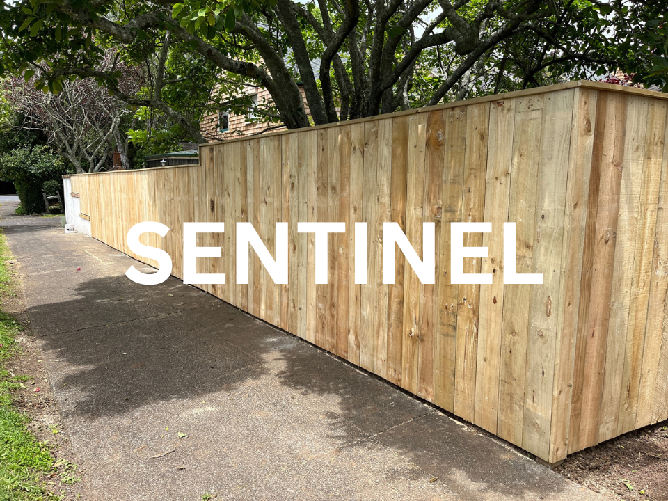 Sentinel Fence