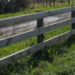 Farm Fence - Post & Rail